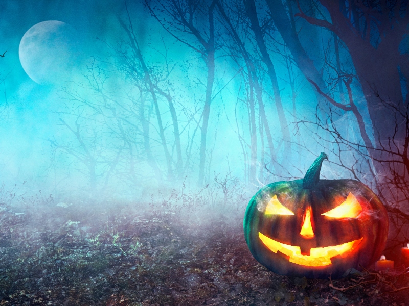 10 حقائق لا تعرفها عن عيد الهالوين البوابة